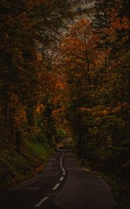 Preview wallpaper alley, path, trees, bushes, branches