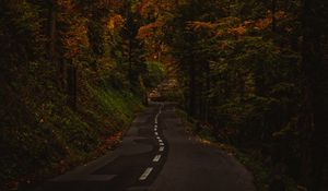 Preview wallpaper alley, path, trees, bushes, branches