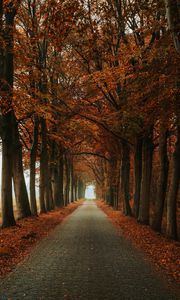 Preview wallpaper alley, path, trees, autumn, nature