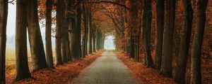 Preview wallpaper alley, path, trees, autumn, nature