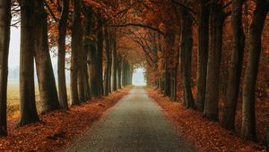 Preview wallpaper alley, path, trees, autumn, nature