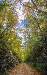 Preview wallpaper alley, road, foliage, stone