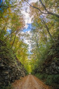 Preview wallpaper alley, road, foliage, stone