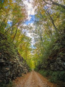 Preview wallpaper alley, road, foliage, stone