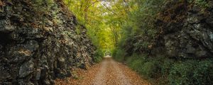 Preview wallpaper alley, road, foliage, stone