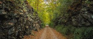 Preview wallpaper alley, road, foliage, stone