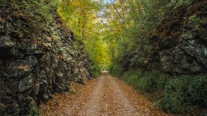 Preview wallpaper alley, road, foliage, stone
