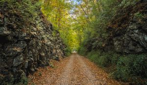 Preview wallpaper alley, road, foliage, stone