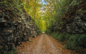 Preview wallpaper alley, road, foliage, stone