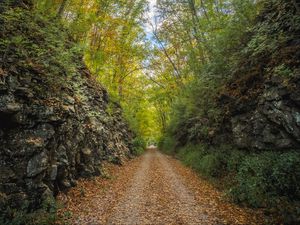 Preview wallpaper alley, road, foliage, stone