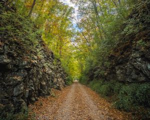 Preview wallpaper alley, road, foliage, stone