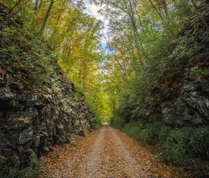 Preview wallpaper alley, road, foliage, stone