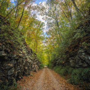 Preview wallpaper alley, road, foliage, stone