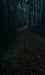 Preview wallpaper alley, road, foliage, trees