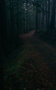 Preview wallpaper alley, road, foliage, trees