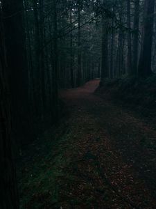 Preview wallpaper alley, road, foliage, trees