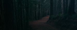 Preview wallpaper alley, road, foliage, trees