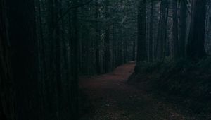 Preview wallpaper alley, road, foliage, trees