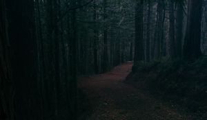 Preview wallpaper alley, road, foliage, trees