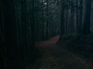 Preview wallpaper alley, road, foliage, trees