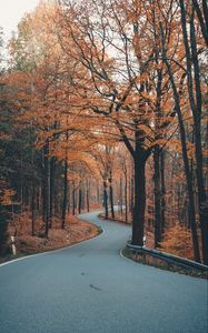 Preview wallpaper alley, road, trees, winding, autumn