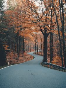 Preview wallpaper alley, road, trees, winding, autumn