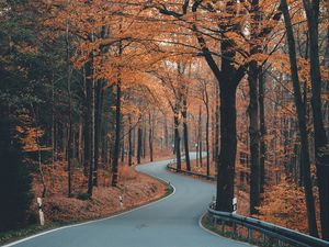 Preview wallpaper alley, road, trees, winding, autumn