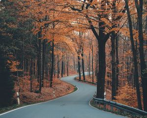Preview wallpaper alley, road, trees, winding, autumn