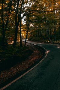 Preview wallpaper alley, winding, trees, distance