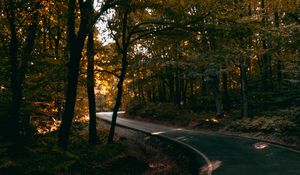 Preview wallpaper alley, winding, trees, distance