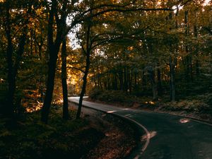 Preview wallpaper alley, winding, trees, distance