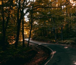 Preview wallpaper alley, winding, trees, distance