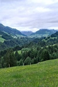 Preview wallpaper allgau, germany, mountains, grass, hill