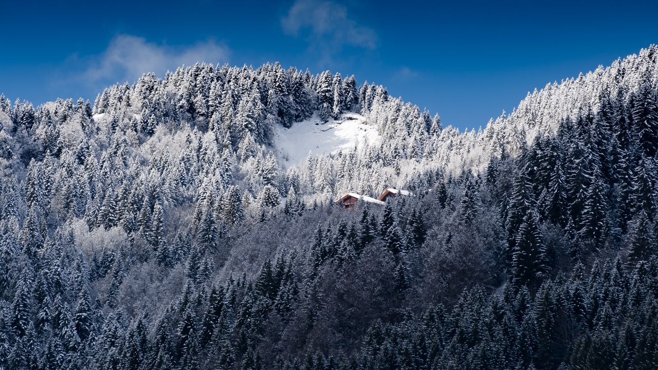 Wallpaper alps, mountains, snow, trees
