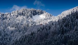 Preview wallpaper alps, mountains, snow, trees