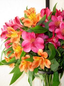 Preview wallpaper alstroemeria, bouquet, vase, leaves