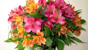 Preview wallpaper alstroemeria, bouquet, vase, leaves