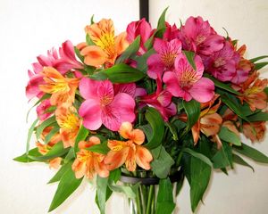 Preview wallpaper alstroemeria, bouquet, vase, leaves