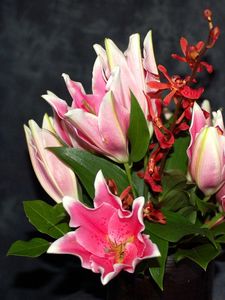 Preview wallpaper alstroemeria, orchids, flowers, flower, leaves, background