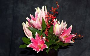Preview wallpaper alstroemeria, orchids, flowers, flower, leaves, background