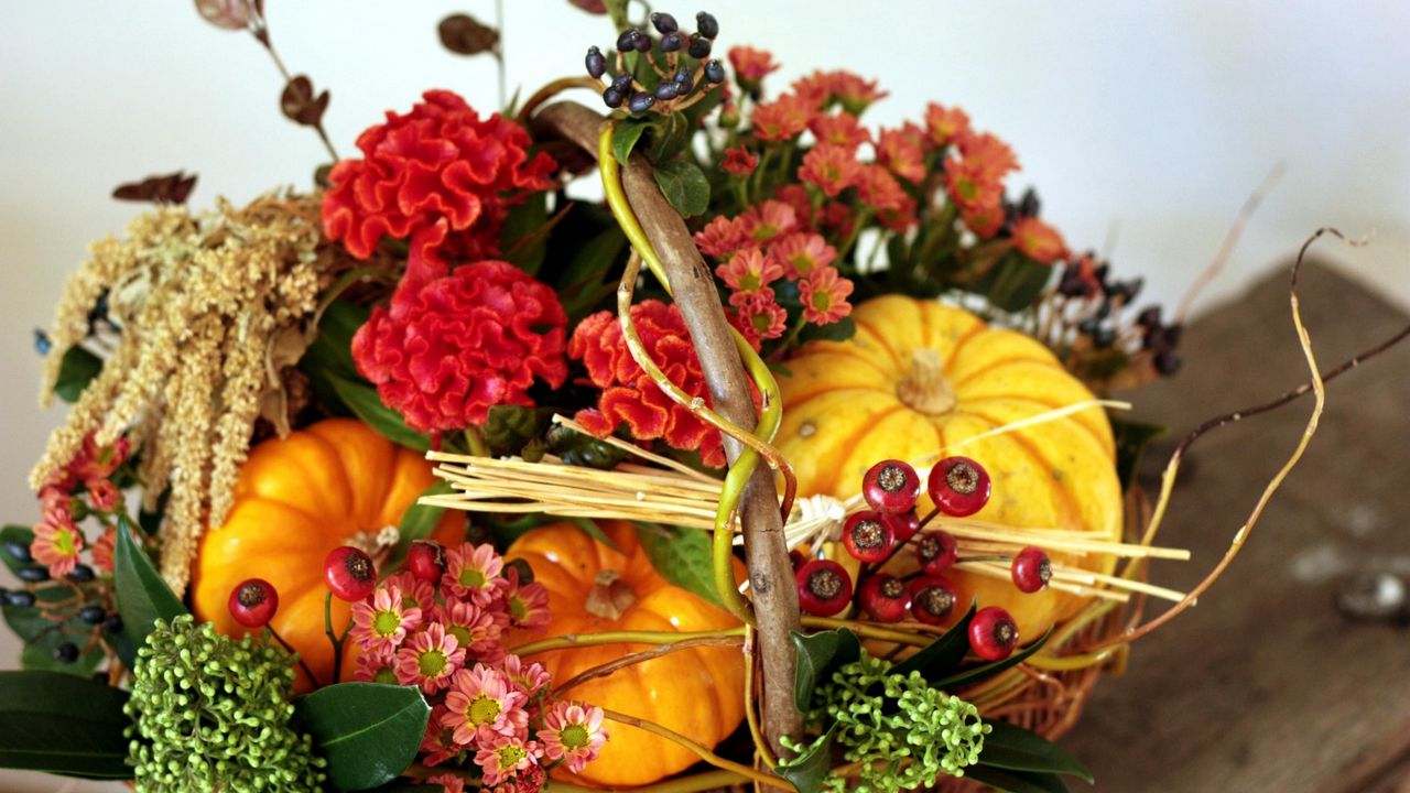 Wallpaper amaranth, flowers, basket, pumpkin, berries, composition