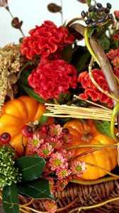 Preview wallpaper amaranth, flowers, basket, pumpkin, berries, composition