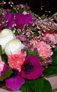 Preview wallpaper anemones, carnations, flowers, bouquets, composition, leaf, design