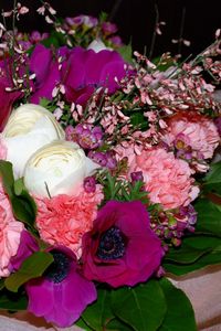 Preview wallpaper anemones, carnations, flowers, bouquets, composition, leaf, design