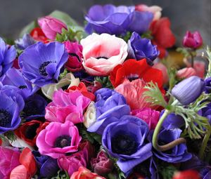 Preview wallpaper anemones, flowers, bouquet, bright, close-up
