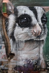 Preview wallpaper animal, graffiti, art, street art, wall