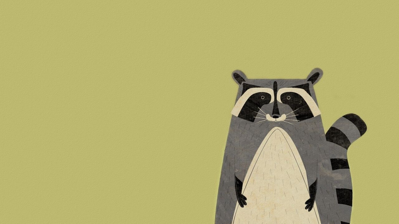 Wallpaper animal, raccoon, minimalism