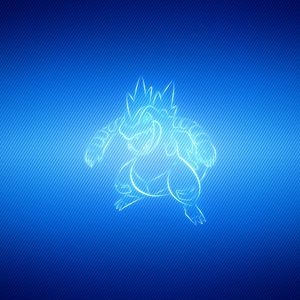 Preview wallpaper animal, unusual, pokemon, feraligatr