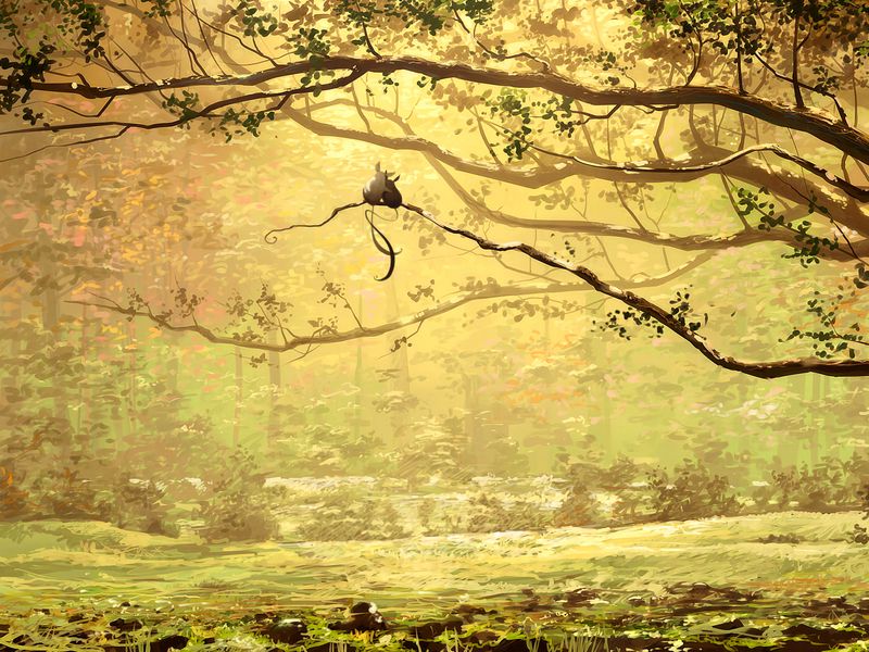 800x600 Wallpaper animals, branch, art, couple, cute