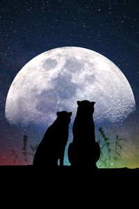 Preview wallpaper animals, moon, silhouettes, starry sky